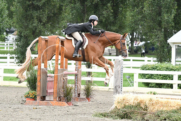 HSM_5343