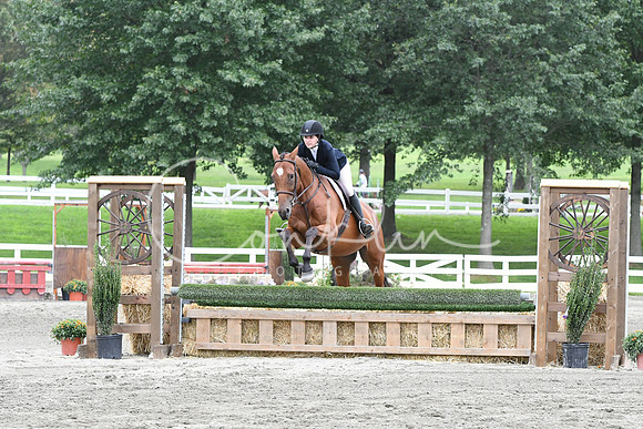 HSM_3379