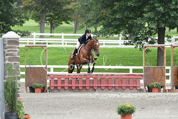 HSM_3381