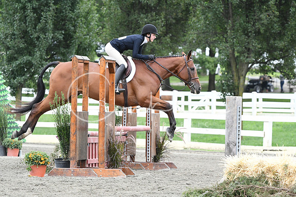 HSM_3385