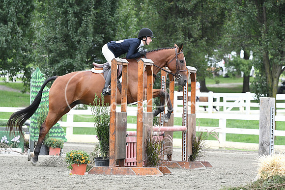 HSM_3384