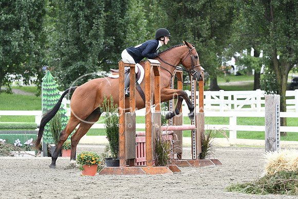 HSM_3440
