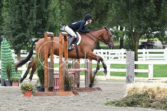 HSM_3441