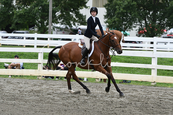 HSM_3442