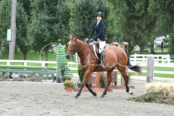 HSM_3454