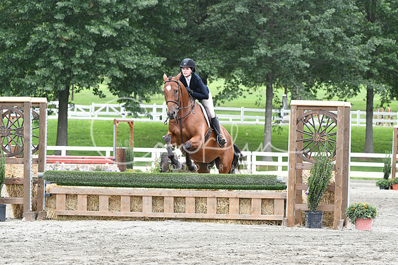 HSM_3480