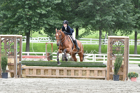 HSM_3481
