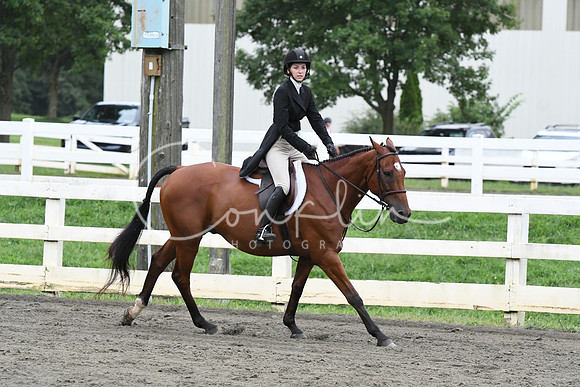 HSM_5223