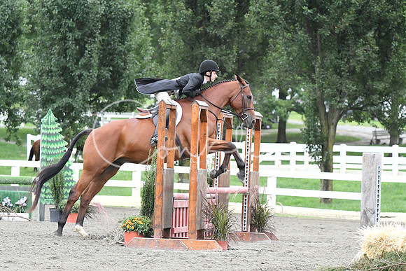 HSM_5228