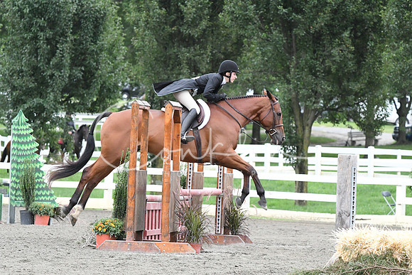 HSM_5229