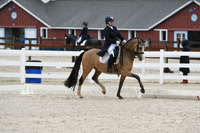 HSM_0228