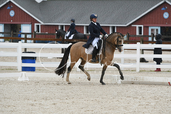 HSM_0228