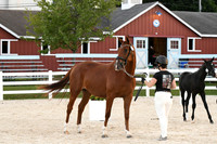 HSM_6314