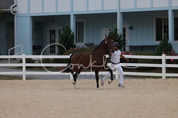 HLK_2264