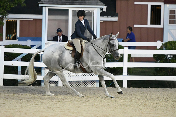 HSM_0579
