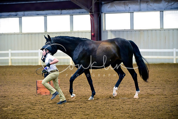 _DSC7214-1