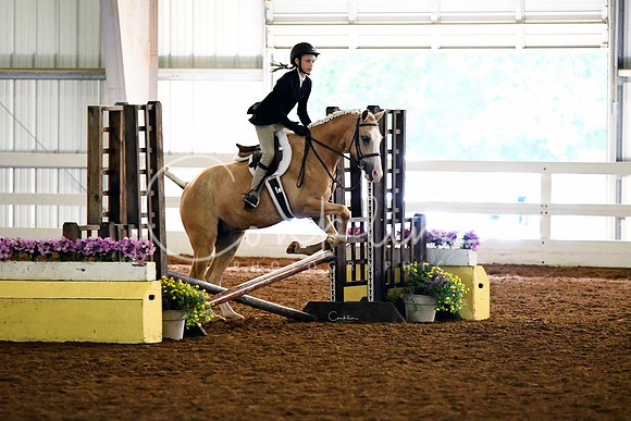 HSM_8170-1