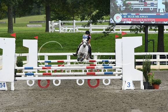 HSM_8467
