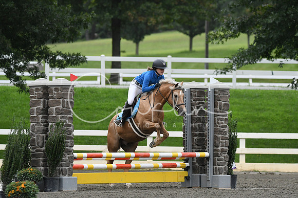 HSM_6337