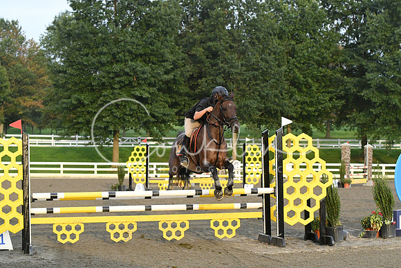 HSM_0110