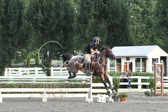 HSM_0118