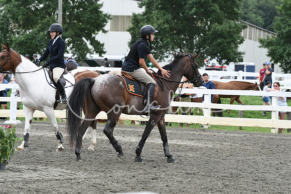 HSM_8267