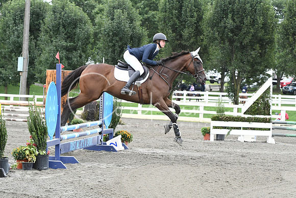 HSM_7272