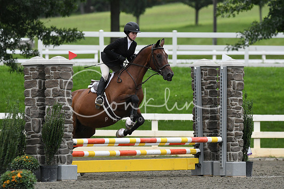 HSM_6313