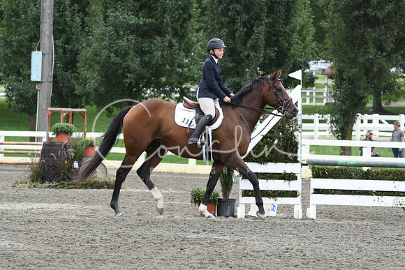 HSM_8163