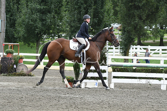 HSM_8164