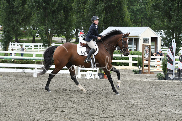 HSM_8172