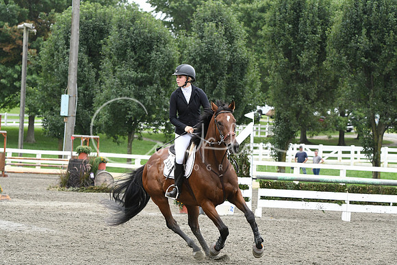 HSM_8194