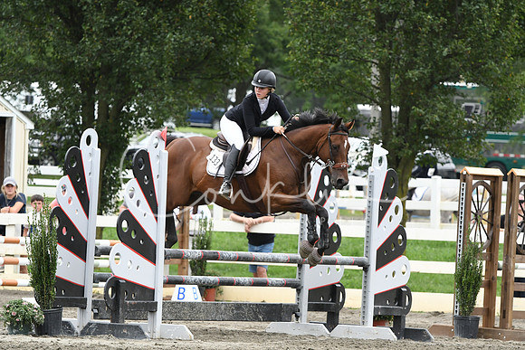 HSM_8198