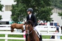 HSM_8201