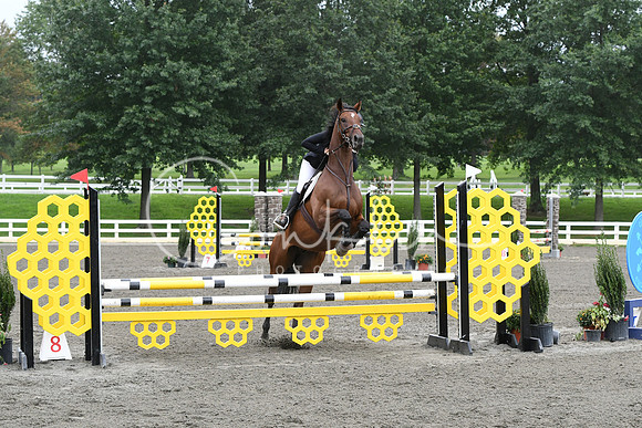 HSM_9227
