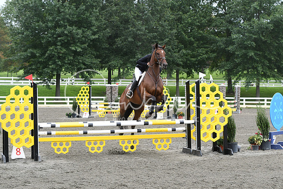 HSM_9228