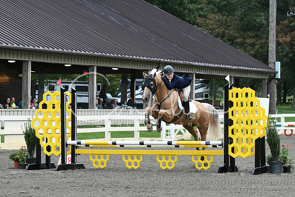 HSM_5637
