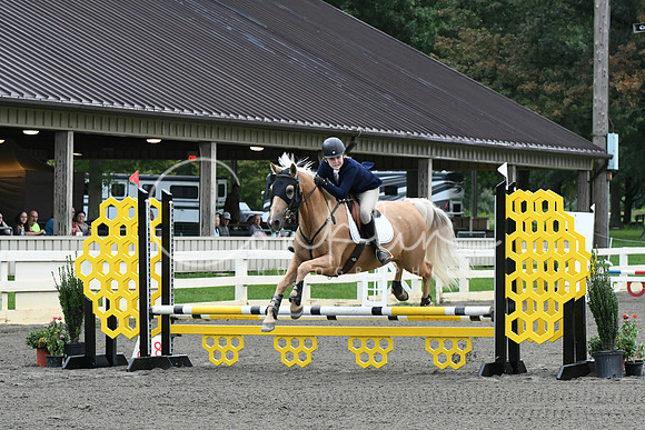 HSM_5638