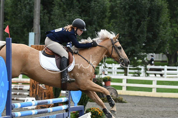 HSM_6974