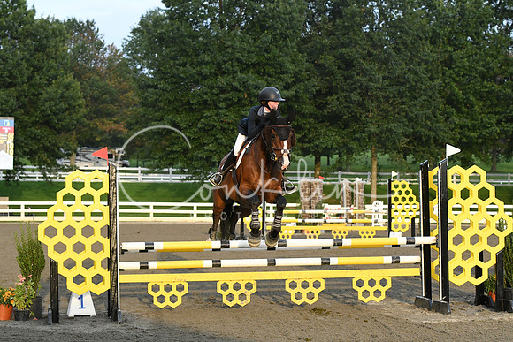 HSM_0091