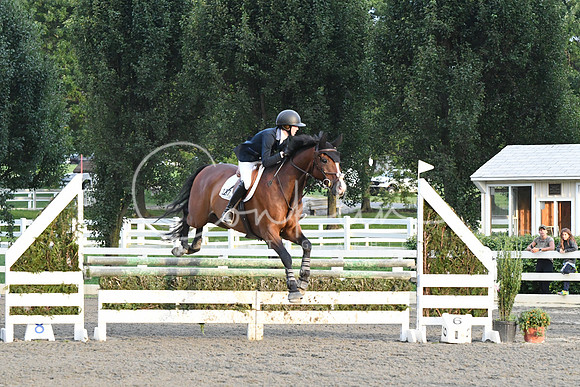 HSM_0097