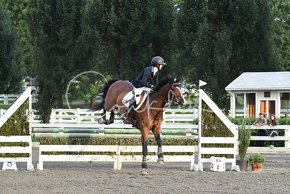 HSM_0098