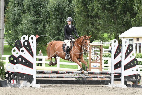 HSM_5855