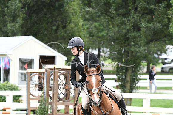 HSM_5856
