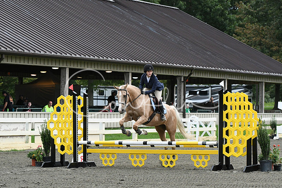 HSM_5741