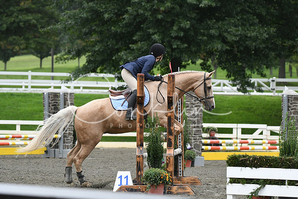 HSM_6393