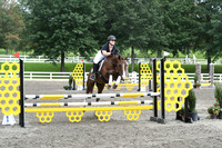HSM_8520