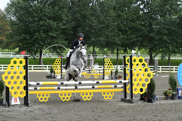 HSM_9038