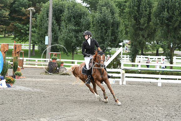 HSM_7937