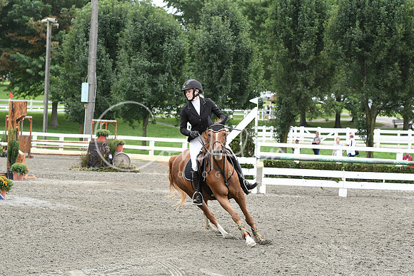 HSM_7938